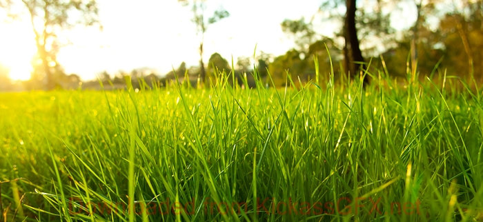 ddos攻击防御手段