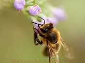 ddos攻击测试工具