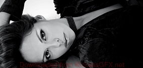 服务器攻击软件